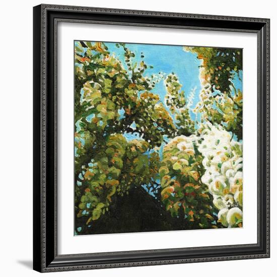 White Wisteria, 2012, (Oil on Canvas)-Helen White-Framed Giclee Print