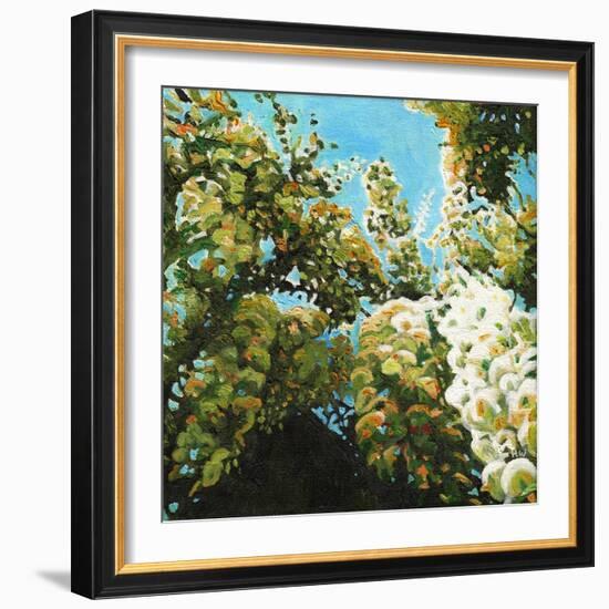 White Wisteria, 2012, (Oil on Canvas)-Helen White-Framed Giclee Print