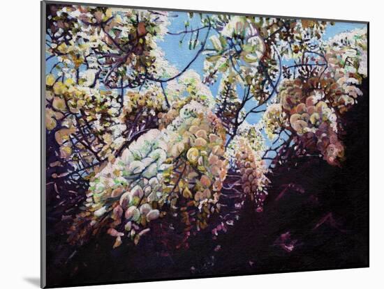 White Wisteria, 2012,-Helen White-Mounted Giclee Print