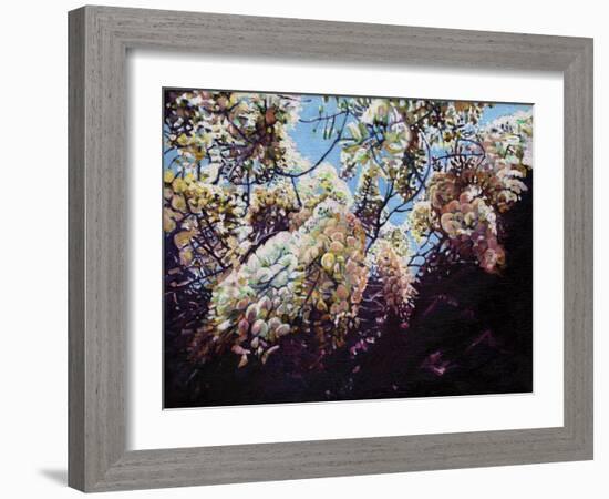 White Wisteria, 2012-Helen White-Framed Giclee Print