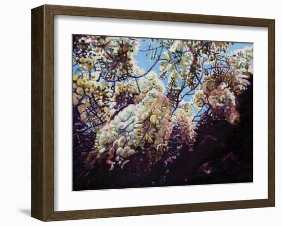 White Wisteria, 2012-Helen White-Framed Giclee Print