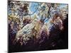 White Wisteria, 2012-Helen White-Mounted Giclee Print