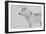 White Wolf 2-Gordon Semmens-Framed Photographic Print