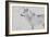 White Wolf 2-Gordon Semmens-Framed Photographic Print