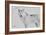 White Wolf 3-Gordon Semmens-Framed Photographic Print