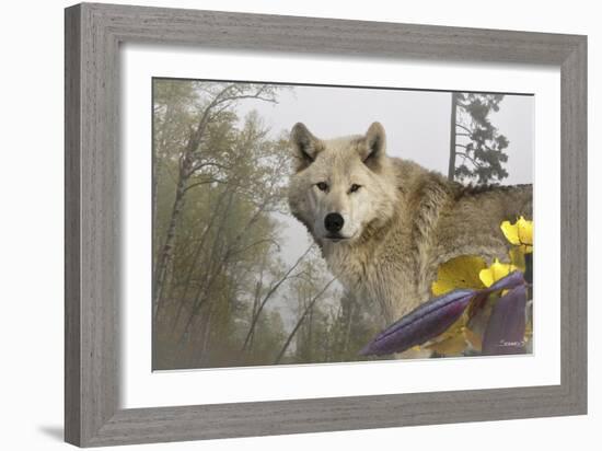 White Wolf-Gordon Semmens-Framed Photographic Print