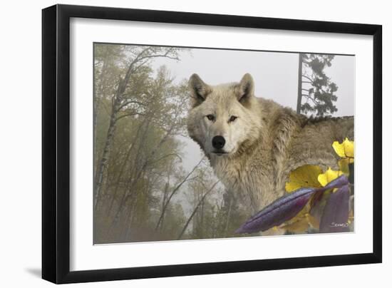 White Wolf-Gordon Semmens-Framed Photographic Print