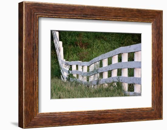 White wooden fence across rolling hill, Shaker Village of Pleasant Hill, Harrodsburg, Kentucky-Adam Jones-Framed Photographic Print