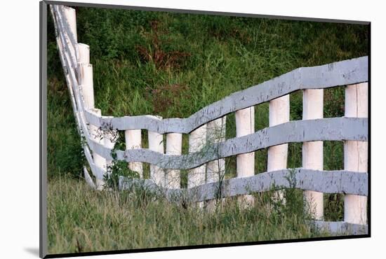 White wooden fence across rolling hill, Shaker Village of Pleasant Hill, Harrodsburg, Kentucky-Adam Jones-Mounted Photographic Print