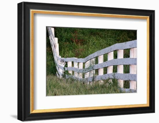 White wooden fence across rolling hill, Shaker Village of Pleasant Hill, Harrodsburg, Kentucky-Adam Jones-Framed Photographic Print