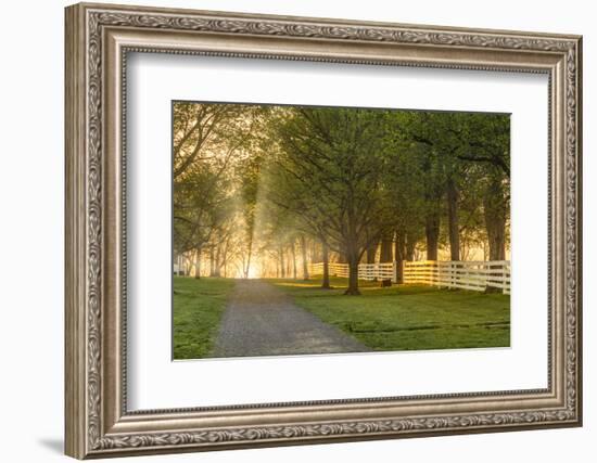 White wooden fence reflecting sunrise, Shaker Village of Pleasant Hill, Harrodsburg, Kentucky-Adam Jones-Framed Photographic Print