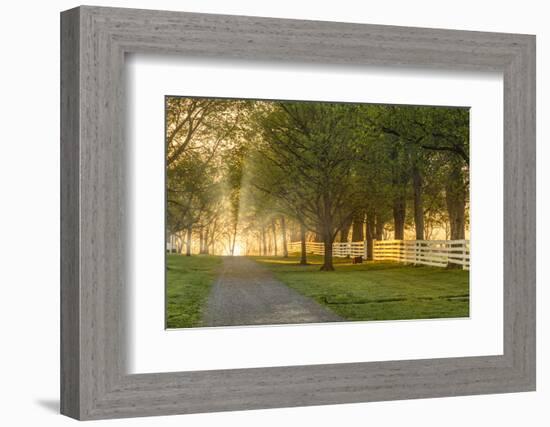 White wooden fence reflecting sunrise, Shaker Village of Pleasant Hill, Harrodsburg, Kentucky-Adam Jones-Framed Photographic Print