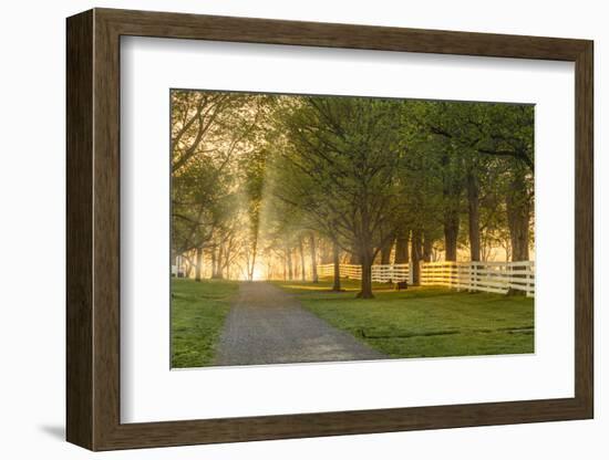 White wooden fence reflecting sunrise, Shaker Village of Pleasant Hill, Harrodsburg, Kentucky-Adam Jones-Framed Photographic Print