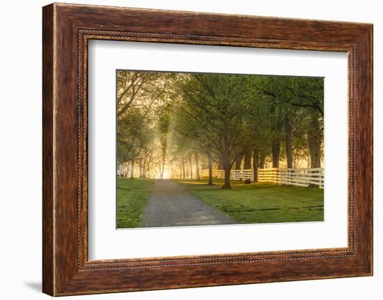 White wooden fence reflecting sunrise, Shaker Village of Pleasant Hill, Harrodsburg, Kentucky-Adam Jones-Framed Photographic Print