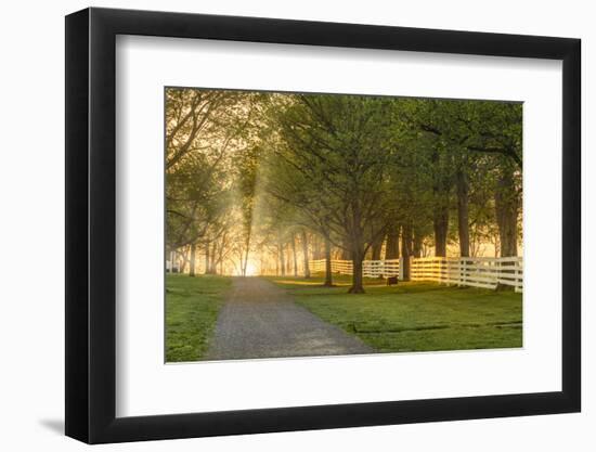 White wooden fence reflecting sunrise, Shaker Village of Pleasant Hill, Harrodsburg, Kentucky-Adam Jones-Framed Photographic Print