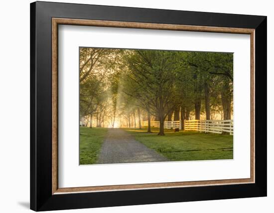 White wooden fence reflecting sunrise, Shaker Village of Pleasant Hill, Harrodsburg, Kentucky-Adam Jones-Framed Photographic Print