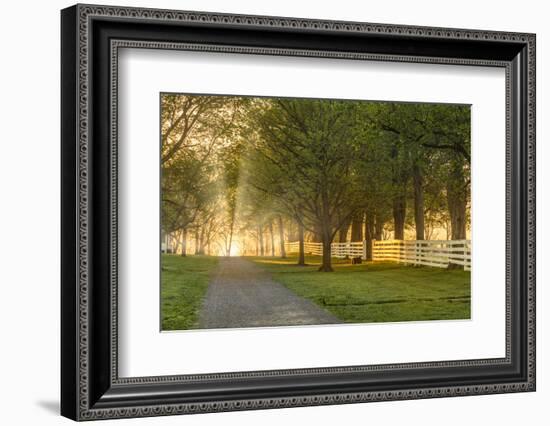 White wooden fence reflecting sunrise, Shaker Village of Pleasant Hill, Harrodsburg, Kentucky-Adam Jones-Framed Photographic Print