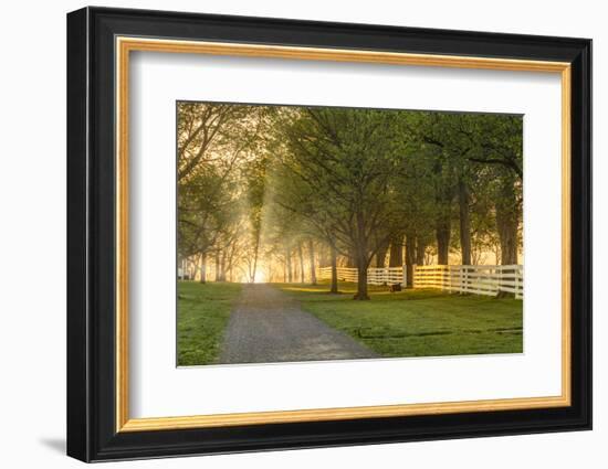 White wooden fence reflecting sunrise, Shaker Village of Pleasant Hill, Harrodsburg, Kentucky-Adam Jones-Framed Photographic Print