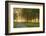 White wooden fence reflecting sunrise, Shaker Village of Pleasant Hill, Harrodsburg, Kentucky-Adam Jones-Framed Photographic Print