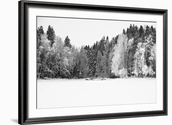 White Woods-Andreas Stridsberg-Framed Giclee Print