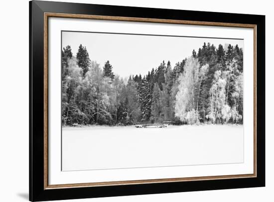 White Woods-Andreas Stridsberg-Framed Giclee Print