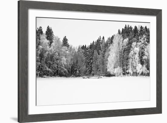 White Woods-Andreas Stridsberg-Framed Giclee Print