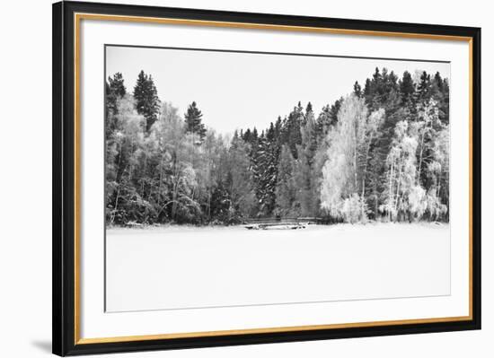 White Woods-Andreas Stridsberg-Framed Giclee Print