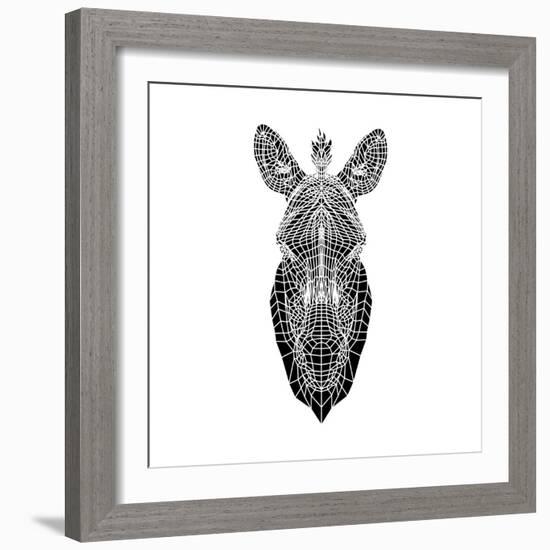 White Zebra Mesh-Lisa Kroll-Framed Art Print