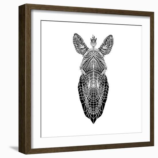 White Zebra Mesh-Lisa Kroll-Framed Art Print