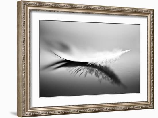 White-Olinda Coutinho-Framed Art Print