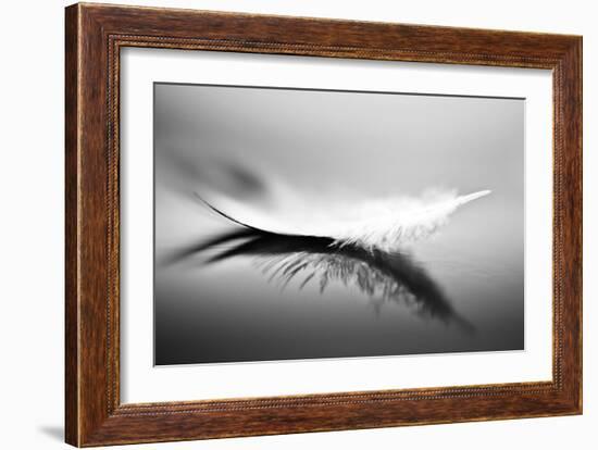 White-Olinda Coutinho-Framed Art Print