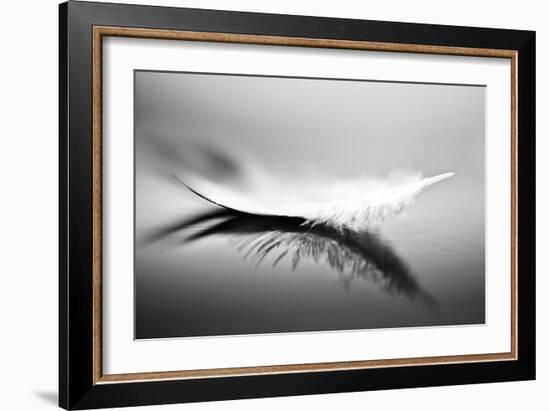 White-Olinda Coutinho-Framed Art Print