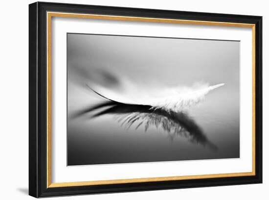 White-Olinda Coutinho-Framed Art Print