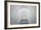 White-Nico T-Framed Photographic Print