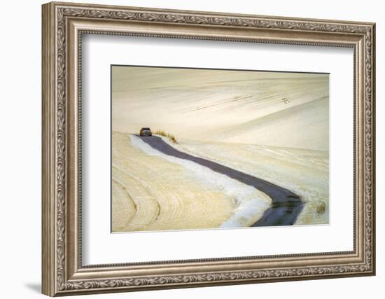 White-Piotr Krol (Bax)-Framed Photographic Print