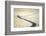 White-Piotr Krol (Bax)-Framed Photographic Print