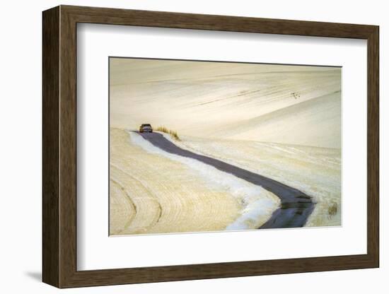 White-Piotr Krol (Bax)-Framed Photographic Print