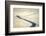 White-Piotr Krol (Bax)-Framed Photographic Print