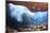 Whitebar surgeonfish school in underwater cave, Hawaii-David Fleetham-Mounted Photographic Print