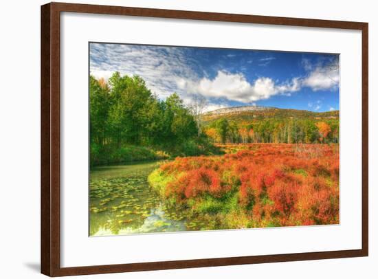 Whitecliffs-Robert Goldwitz-Framed Photographic Print