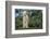 Whitefaced Lamb in the Pasture-DLILLC-Framed Photographic Print