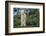 Whitefaced Lamb in the Pasture-DLILLC-Framed Photographic Print