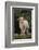 Whitefaced Lamb in the Pasture-DLILLC-Framed Photographic Print