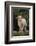 Whitefaced Lamb in the Pasture-DLILLC-Framed Photographic Print