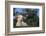 Whitefaced Lamb in the Pasture-DLILLC-Framed Photographic Print