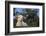 Whitefaced Lamb in the Pasture-DLILLC-Framed Photographic Print