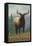 Whitefish, Montana - Elk Scene-Lantern Press-Framed Stretched Canvas