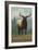 Whitefish, Montana - Elk Scene-Lantern Press-Framed Art Print