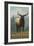Whitefish, Montana - Elk Scene-Lantern Press-Framed Art Print