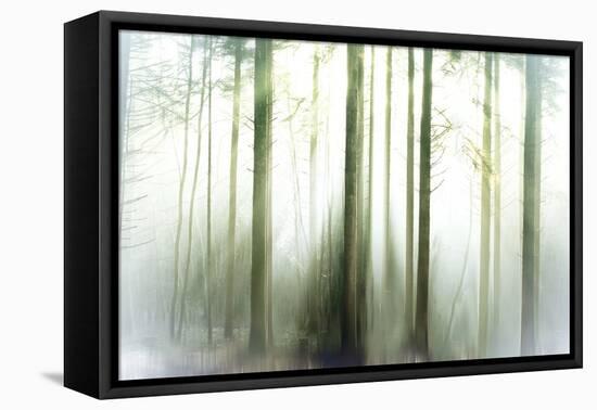 Whiteforest-Viviane Fedieu Daniel-Framed Premier Image Canvas